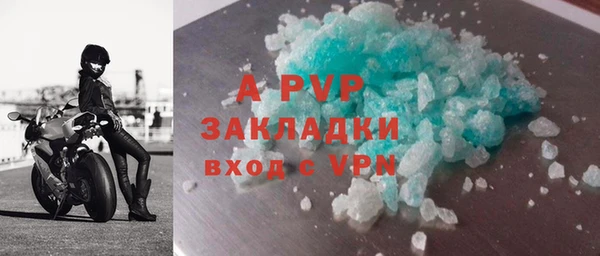 стафф Алексин