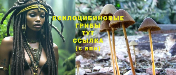 дживик Алзамай
