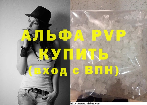 стафф Алексин
