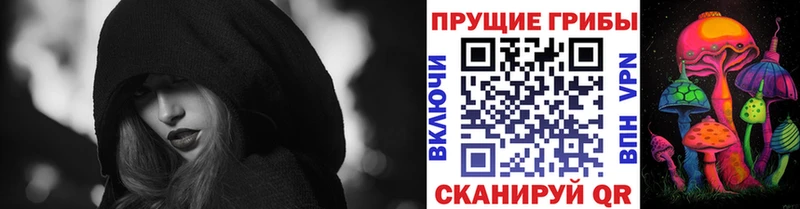 OMG как зайти  Нижний Ломов  Псилоцибиновые грибы мухоморы  что такое наркотик 
